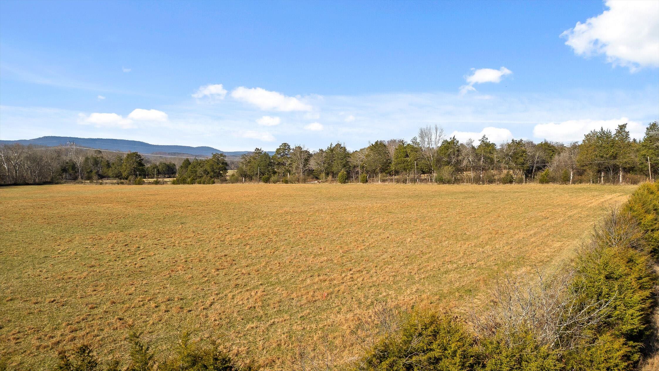0 Brock Road Chickamauga, GA 30707 - Photo 4 of 15 Lookout Mountain in the background