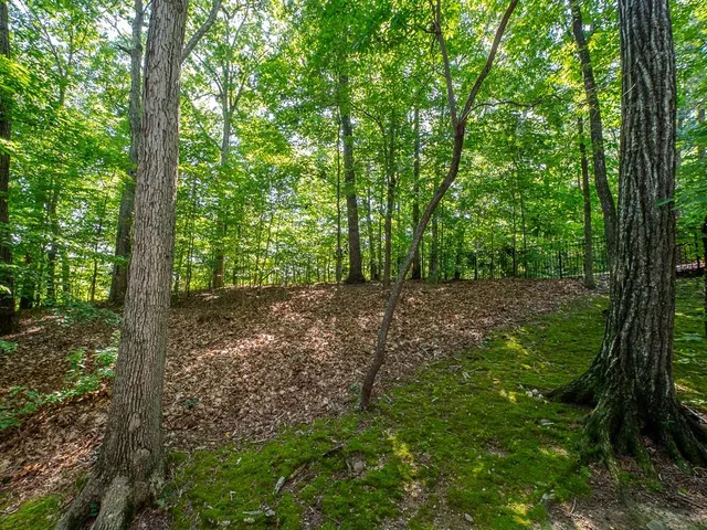 $645,000 | 7470 Princeton Trace Northeast, Atlanta, GA 30328