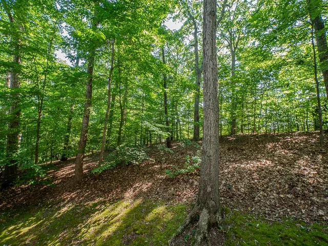 $645,000 | 7470 Princeton Trace Northeast, Atlanta, GA 30328