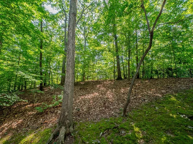 $645,000 | 7470 Princeton Trace Northeast, Atlanta, GA 30328