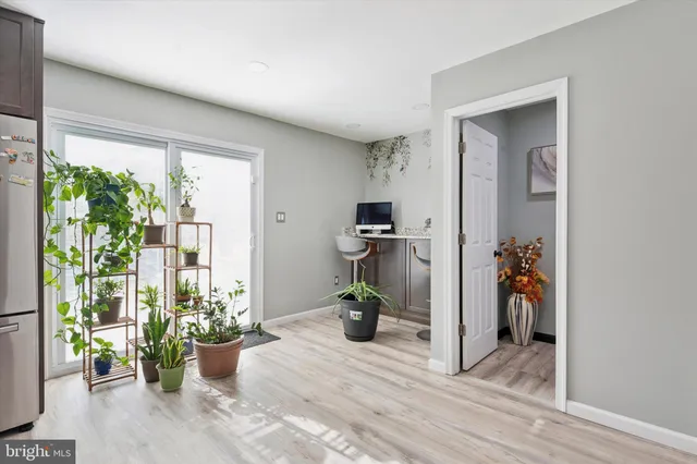 a view of a living room and a potted plant