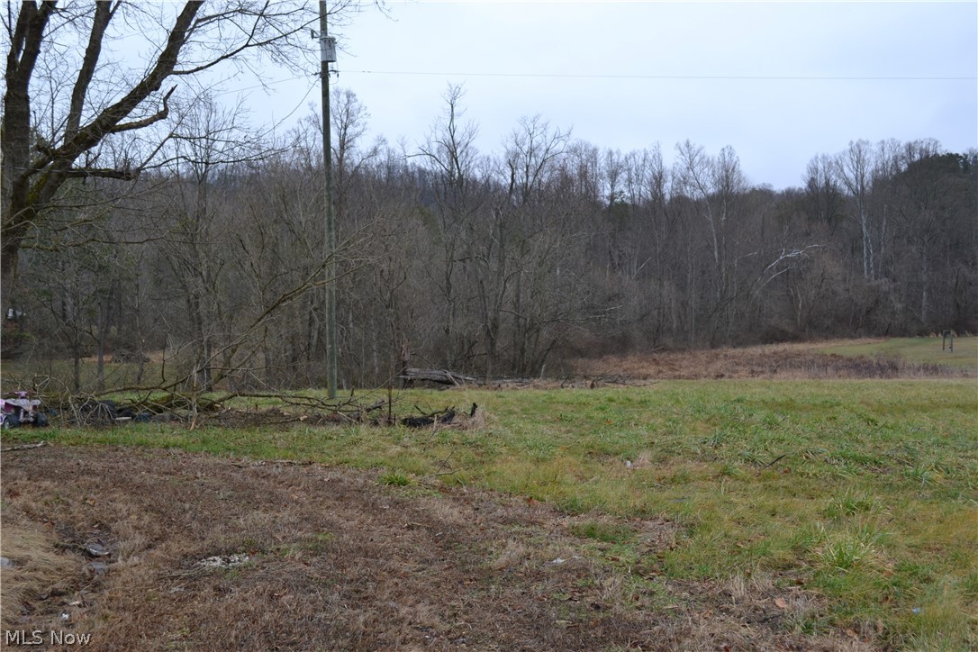 2775 Buckner Bend Walker, WV 26180 - Photo 3 of 7