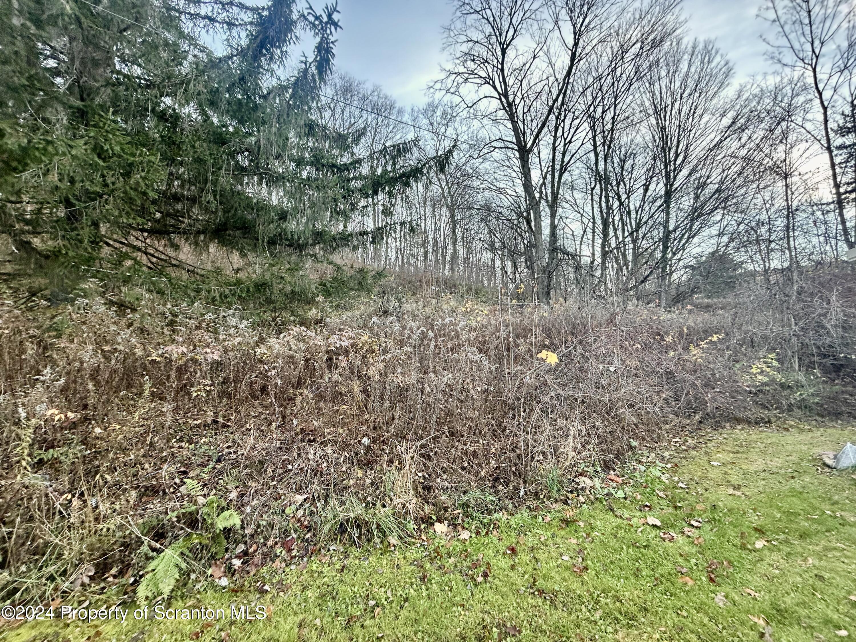 1815 Melrose Road Susquehanna, PA 18847 - Photo 15 of 19 IMG_9672