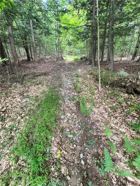 270 Collins-Gifford Valley Road Northville, NY 12134 - Photo 11 of 26