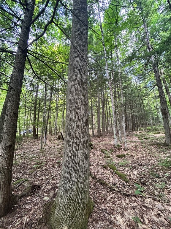 270 Collins-Gifford Valley Road Northville, NY 12134 - Photo 18 of 26