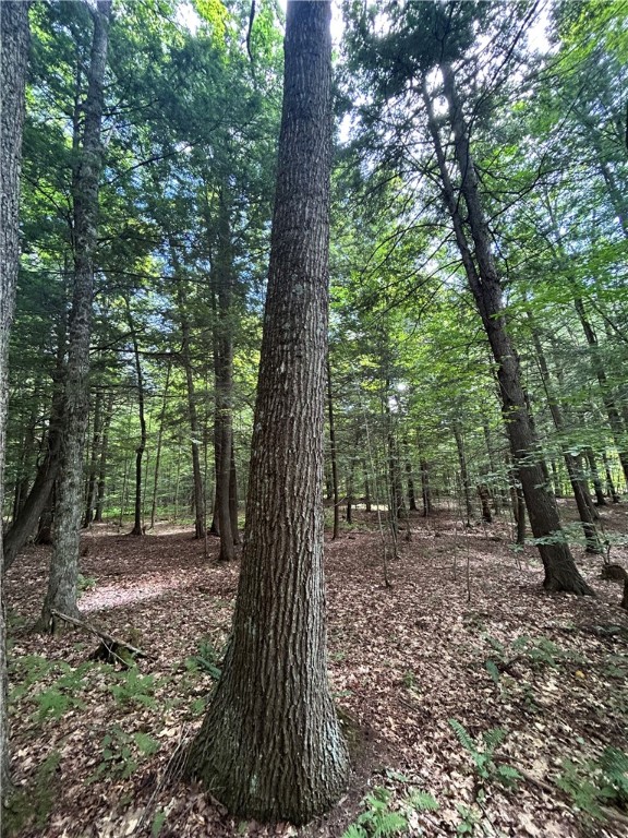 270 Collins-Gifford Valley Road Northville, NY 12134 - Photo 19 of 26