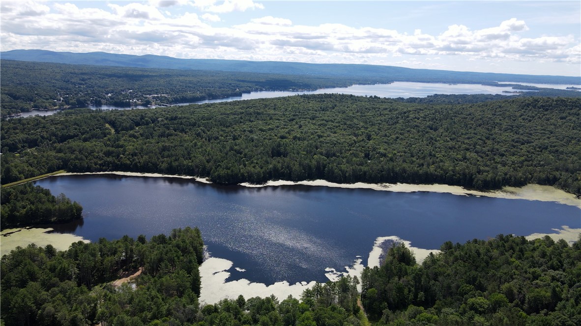 270 Collins-Gifford Valley Road Northville, NY 12134 - Photo 3 of 26