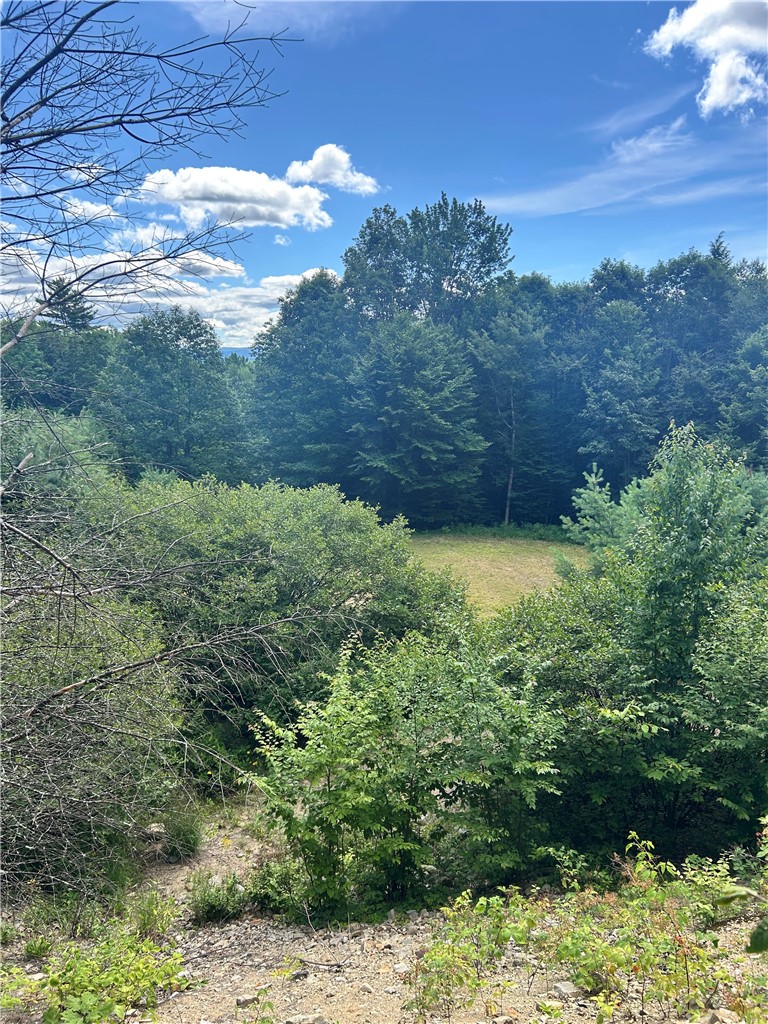 270 Collins-Gifford Valley Road Northampton, NY 12134 - Photo 5 of 26