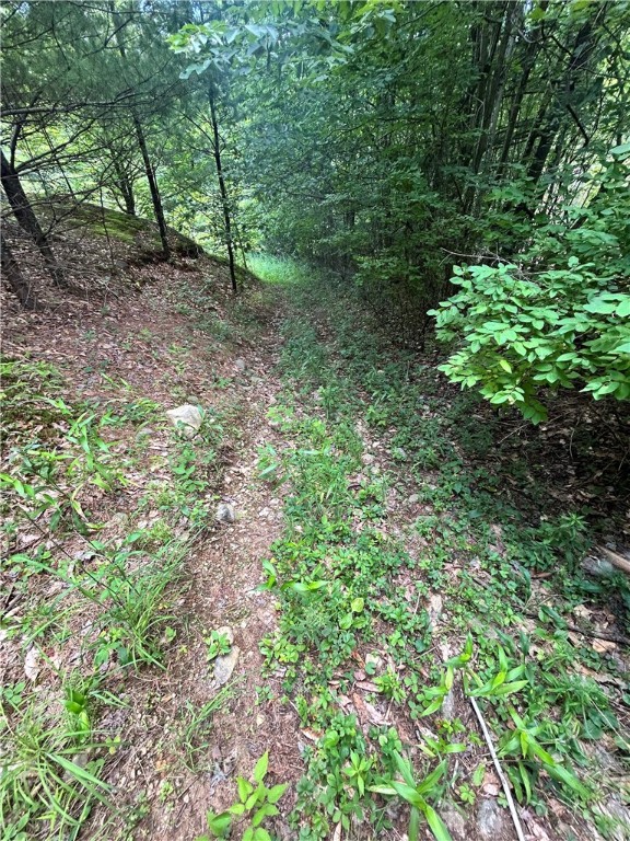 270 Collins-Gifford Valley Road Northville, NY 12134 - Photo 10 of 26