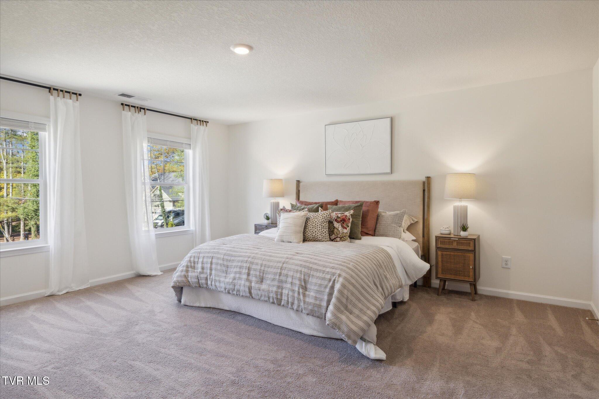 359 Alta Tree Boulevard Johnson City, TN 37604 - Photo 22 of 23 primary bedroom