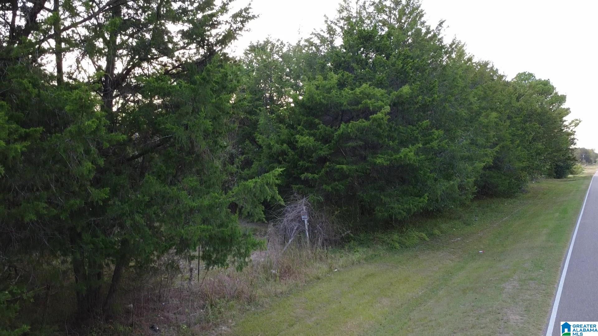 0 Shaw Road Uniontown, AL 36786 - Photo 6 of 8