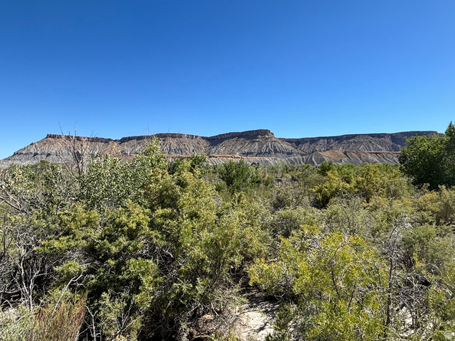 1950 East Highway 24 Torrey, UT 84775 - Photo 12 of 19