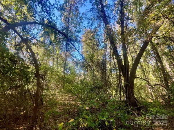 a view of outdoor space