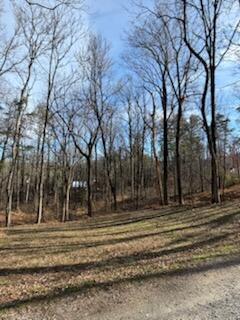 0 Sunnycrest Road Roanoke, VA 24018 - Photo 4 of 8 IMG_1396