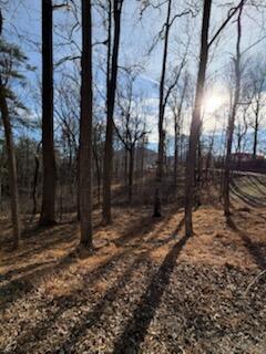 0 Sunnycrest Road Roanoke, VA 24018 - Photo 6 of 8 IMG_1398