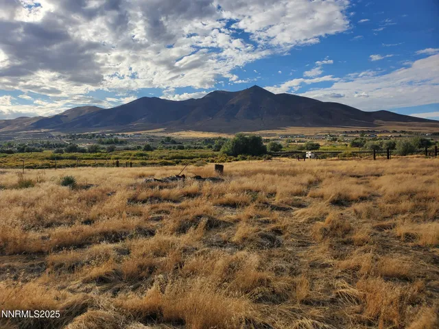 a view of a city street with a building and trees
