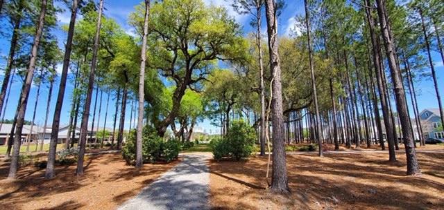 169 Country Gate Lane Summerville, SC 29485 - Photo 10 of 14 IMG_3117
