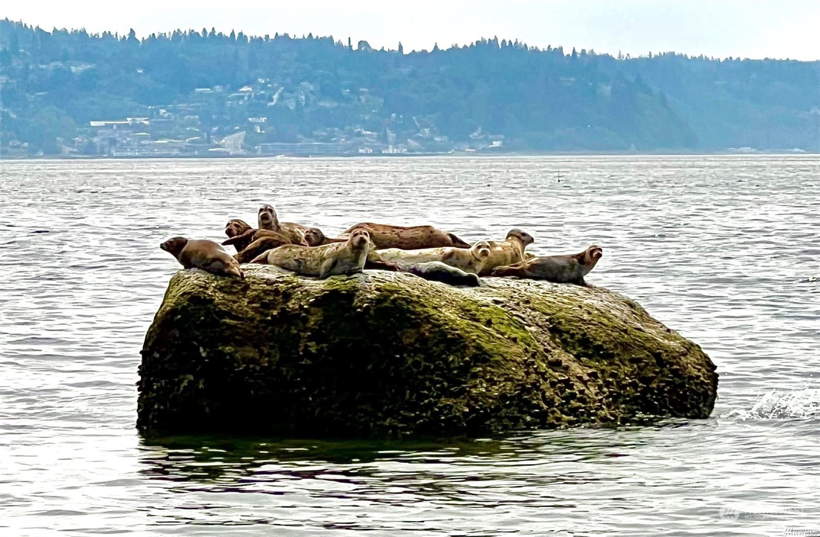 113 Port Susan Drive Everett, WA 98201 - Photo 22 of 23 a bed sitting in a room next to a building