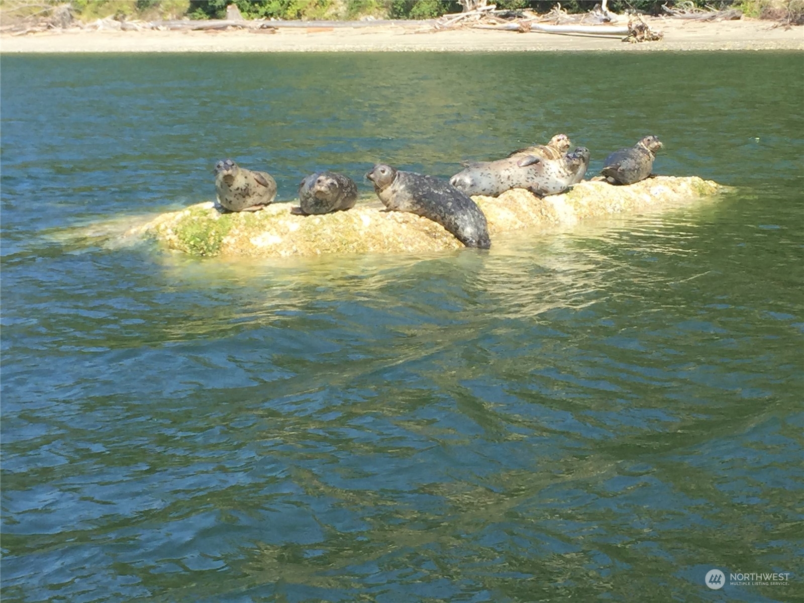 113 Port Susan Drive Everett, WA 98201 - Photo 23 of 23 a view of a water with an ocean view