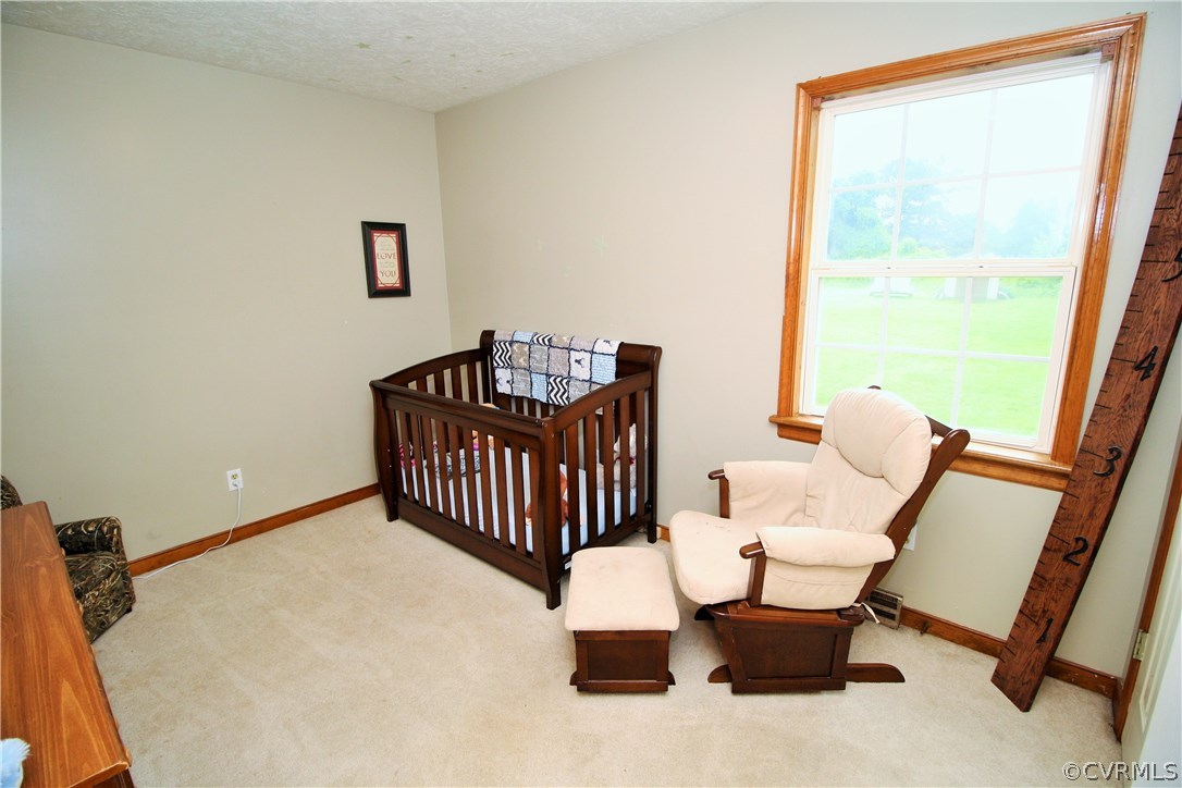 3132 Venter Road Aylett, VA 23009 - Photo 14 of 22 Gallery Image 14