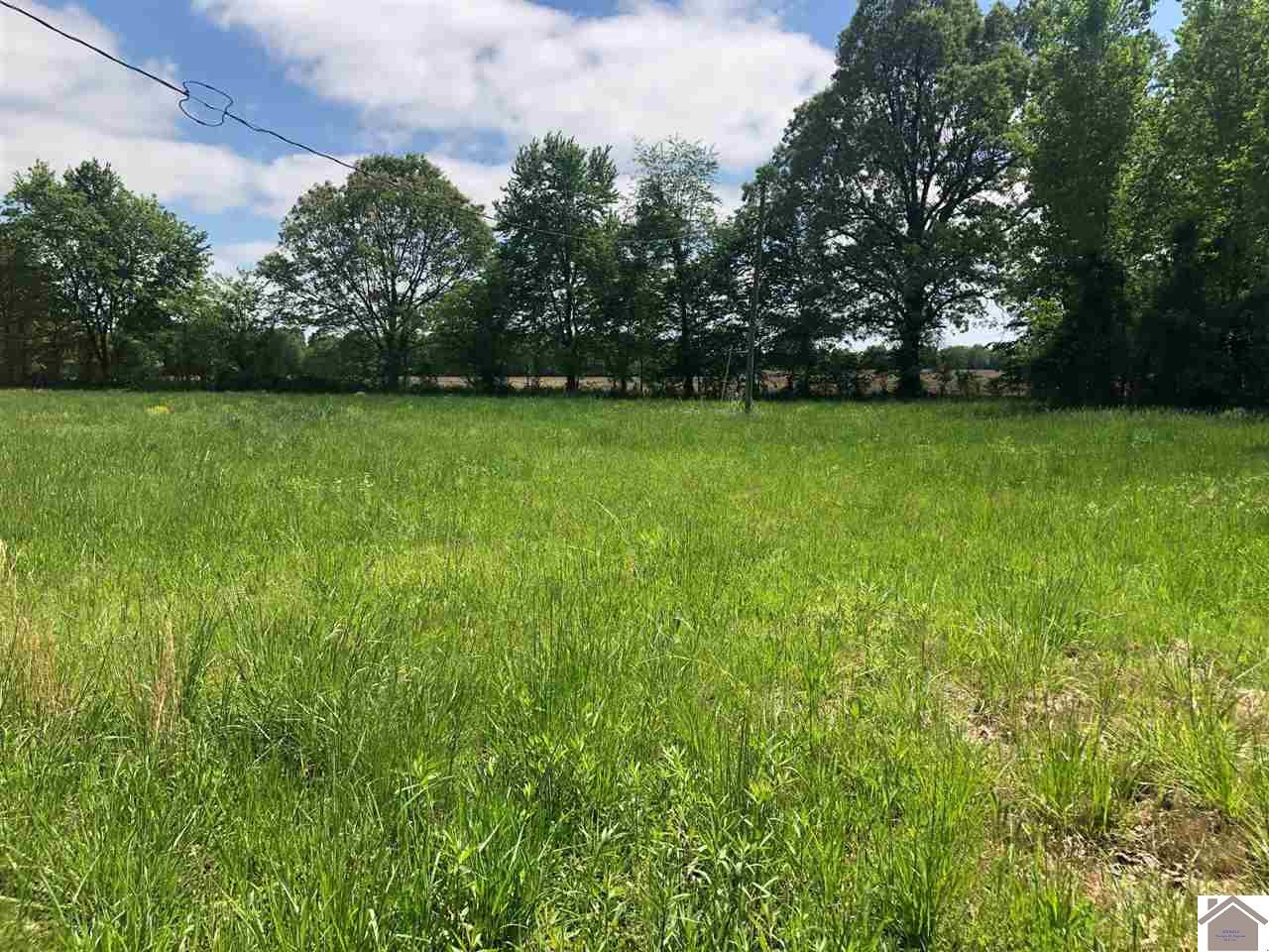 423 Penny Road, Unit 400000074 Hardin, KY 42048 - Photo 1 of 1 Photo 1