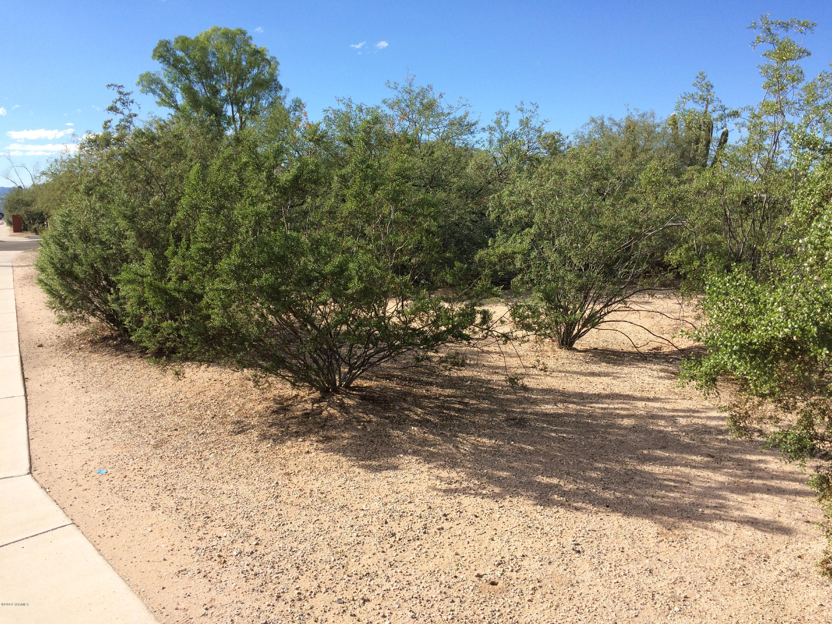 2201 East Fort Lowell Road Tucson, AZ 85719 - Photo 4 of 9 Gallery Image 4