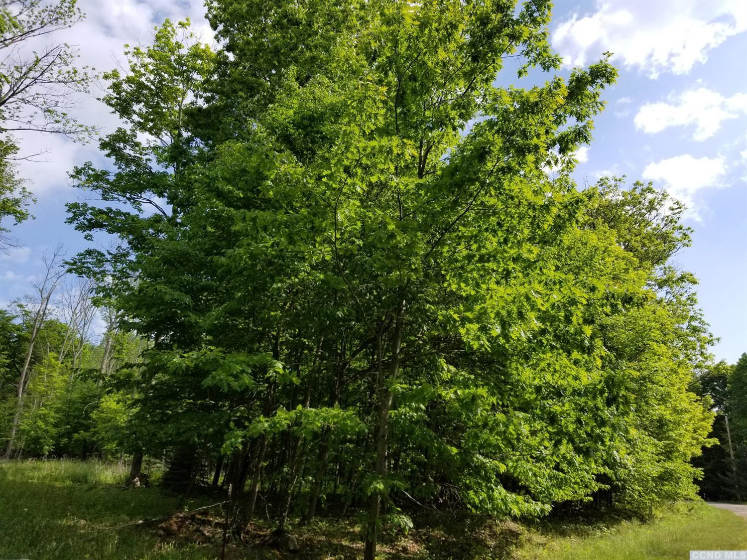 0 Zinno Road Windham, NY 12496 - Photo 6 of 13 Photo 6