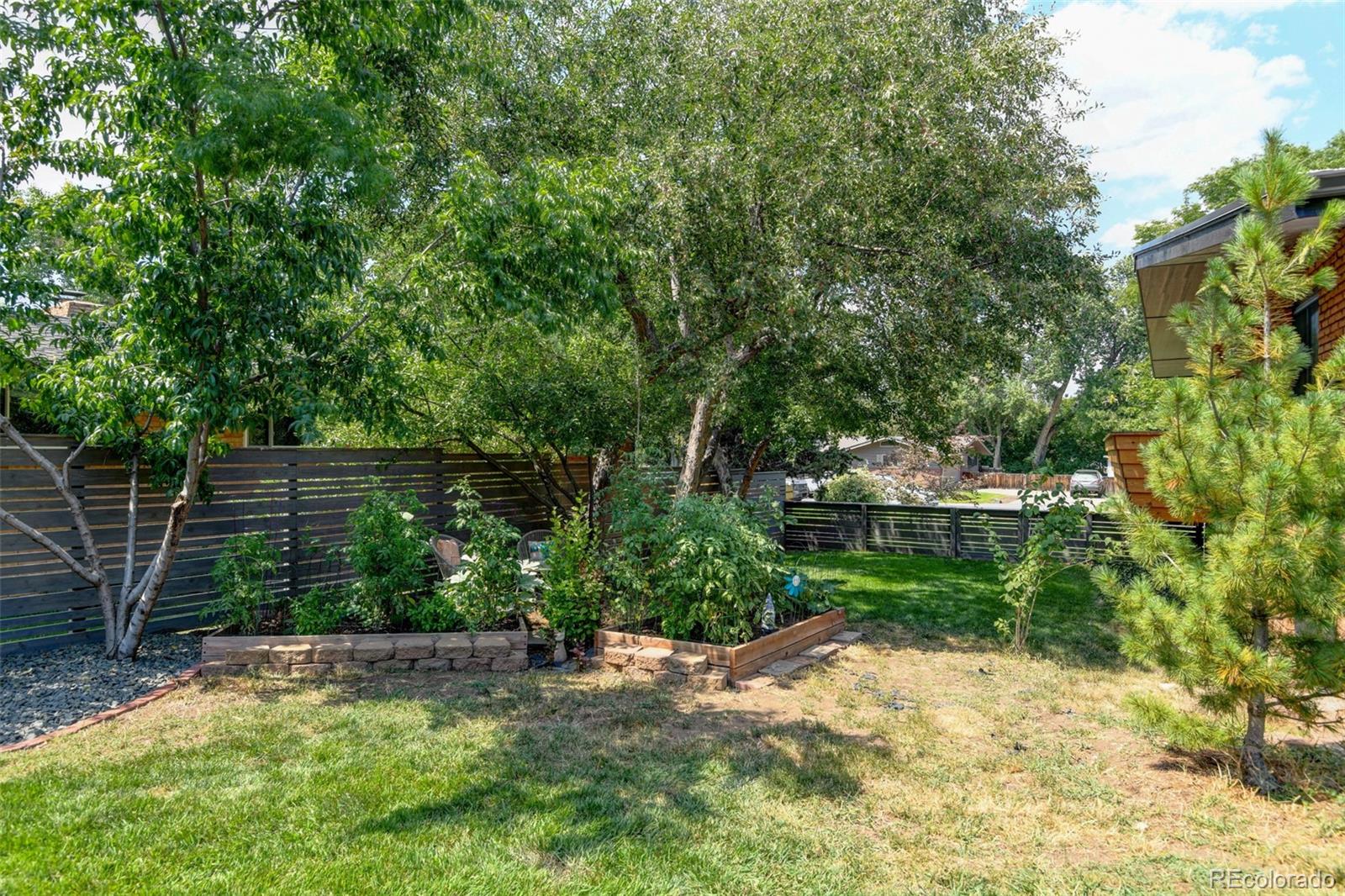 14010 Braun Road Golden, CO 80401 - Photo 49 of 49 a view of a backyard with plants and large trees