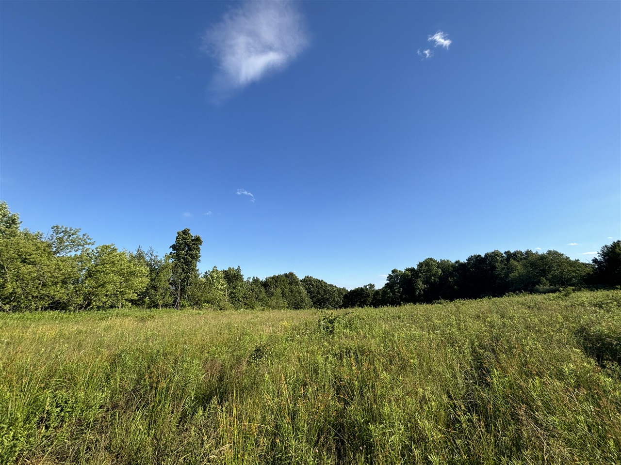 38.14 Northeast A Ne Hayes Road Comstock Park, MI 49321 - Photo 5 of 38