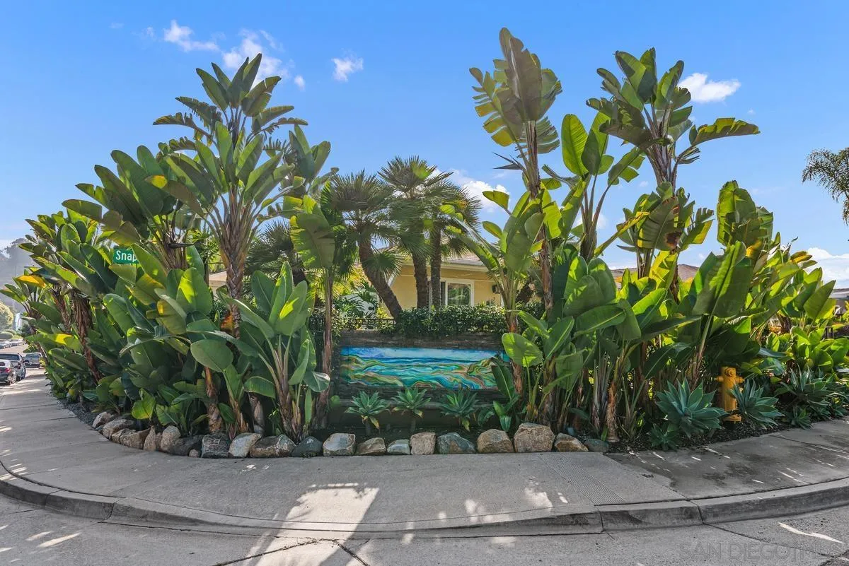763 Snapdragon Street Encinitas, CA 92024 - Photo 1 of 22 a plant with a tree in front of it
