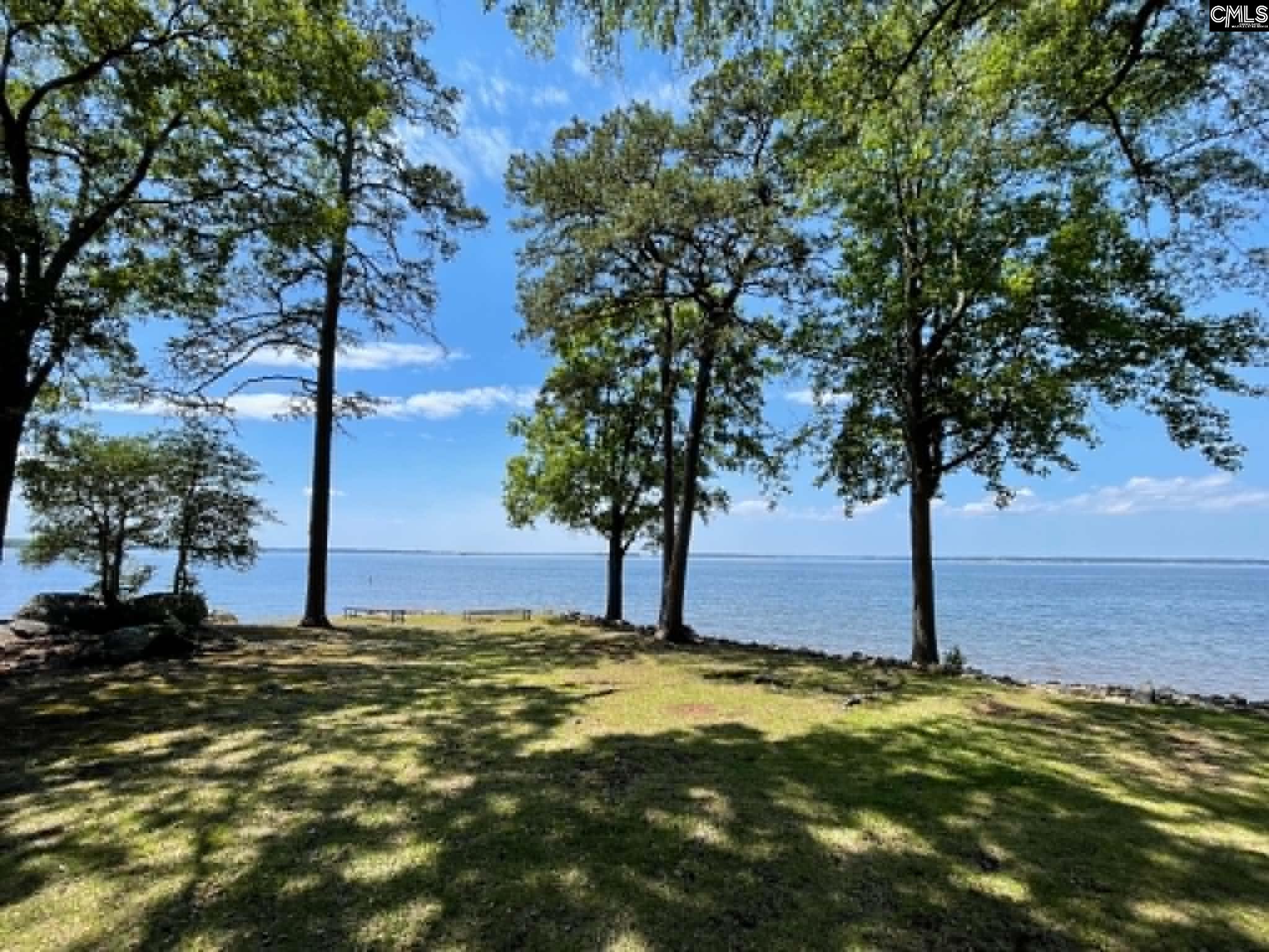 1441 Old Chapin Road, Unit 231 Lexington, SC 29072 - Photo 2 of 38