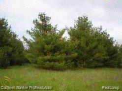 Par H Falkenbury Road North Branch, MI 48461 - Photo 1 of 1 Parcel H Falkenbury Rd..jpg