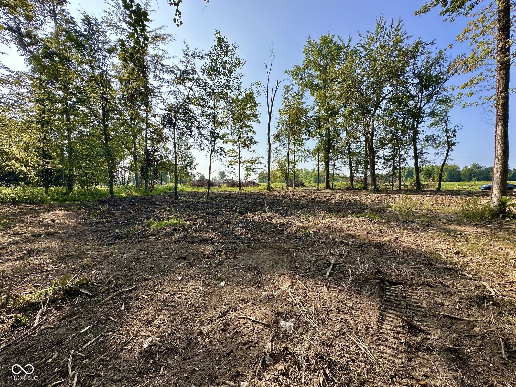 Tract A West Private Rd 775 South Commiskey, IN 47227 - Photo 8 of 19 Gallery Image 8