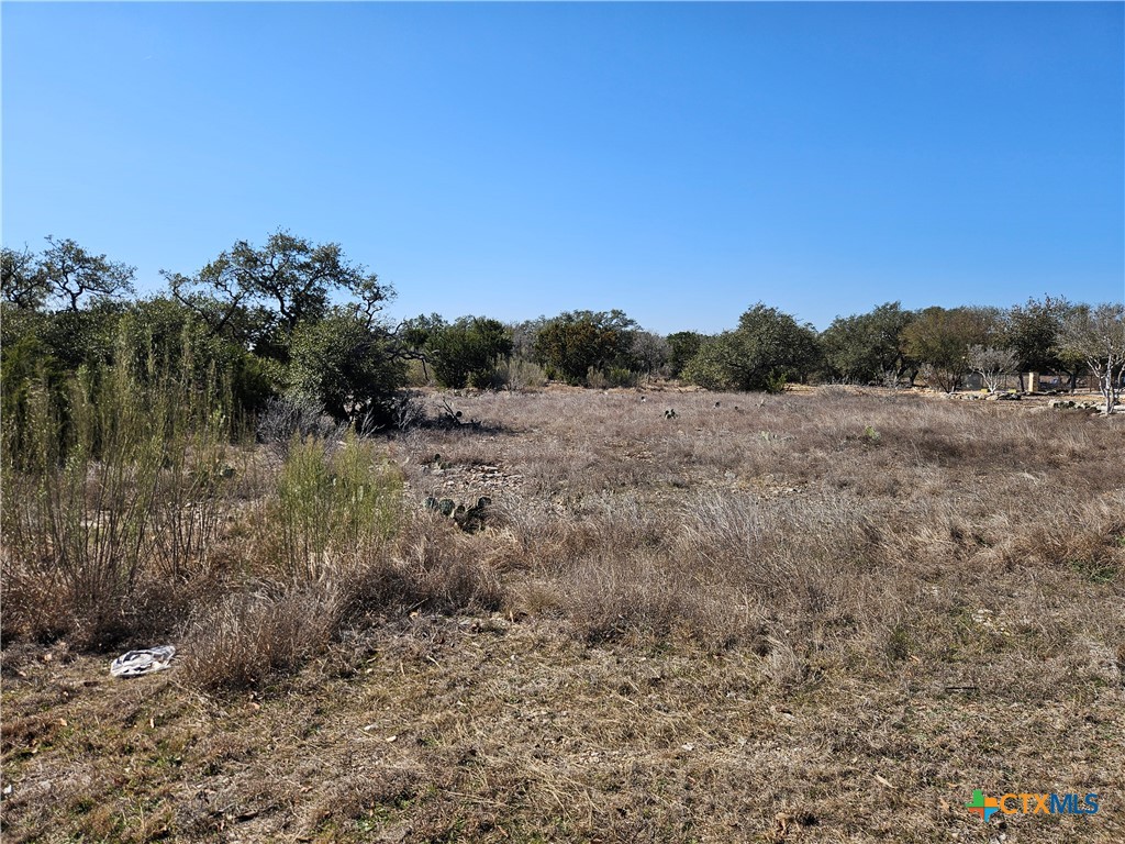 5893 Verden Ridge New Braunfels, TX 78132 - Photo 1 of 3 a view of a field with trees in background