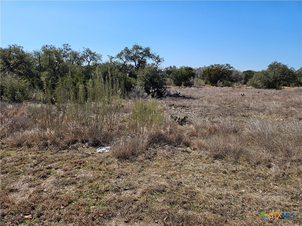 5893 Verden Ridge New Braunfels, TX 78132 - Photo 2 of 3 a view of a forest with trees in the background