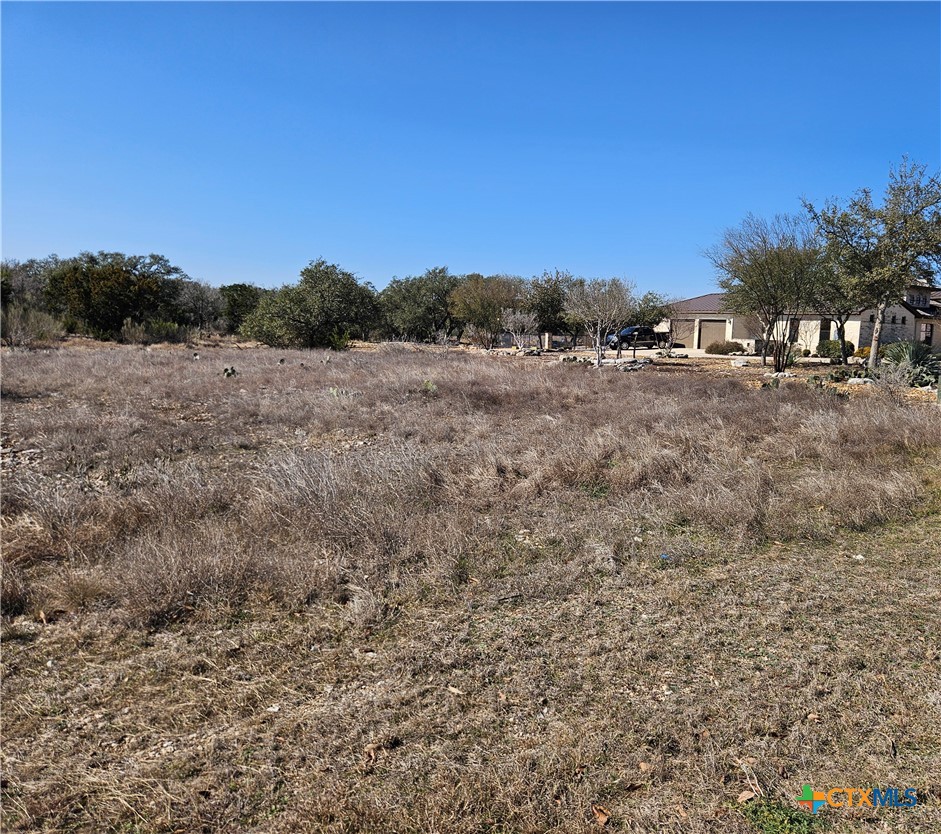 5893 Verden Ridge New Braunfels, TX 78132 - Photo 3 of 3 a view of a outdoor space with green field and trees
