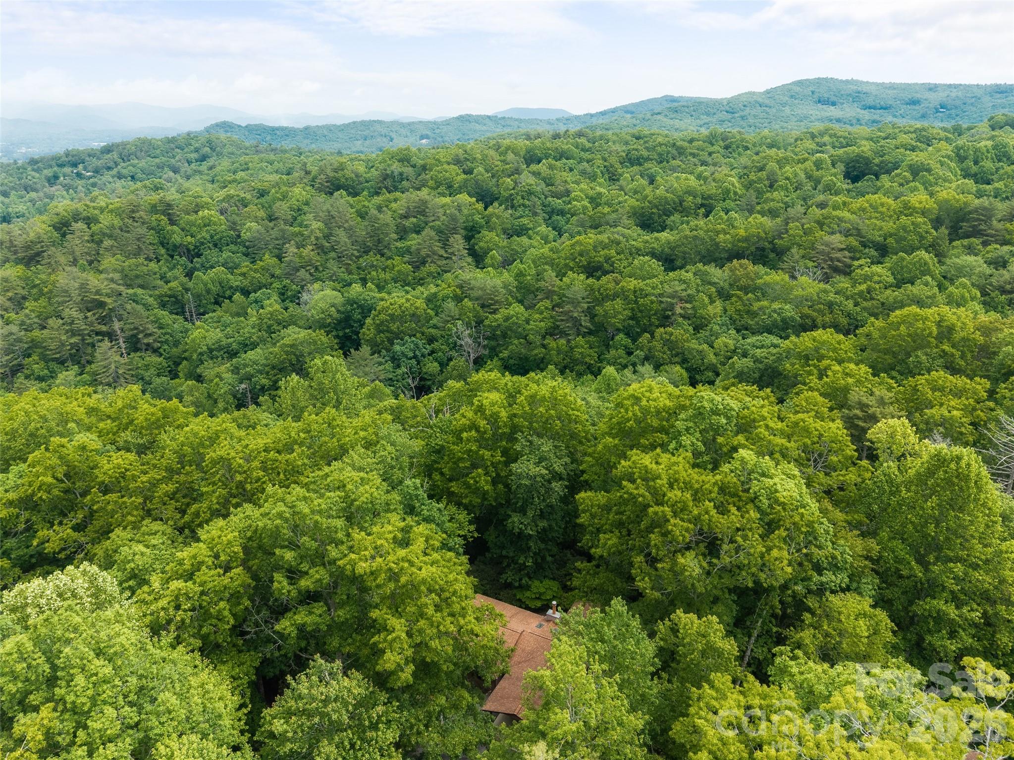 32 Honey Suckle Ridge Road Pisgah Forest, NC 28768 - Photo 31 of 35 a view of a lush green forest with trees and some houses
