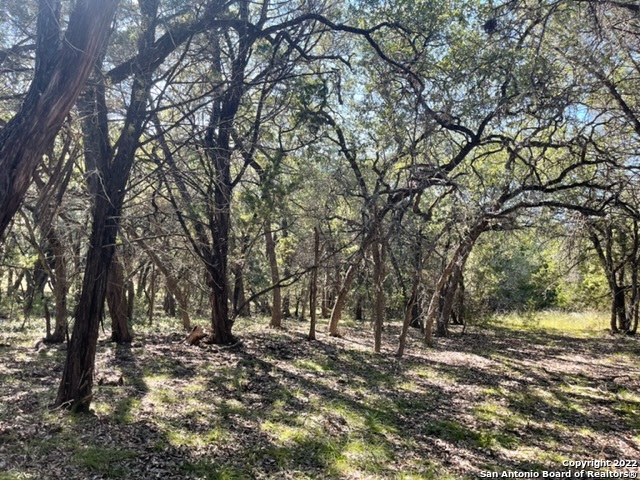 420 Spring Street Spring Branch, TX 78070 - Photo 2 of 4