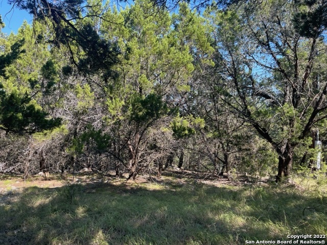 420 Spring Street Spring Branch, TX 78070 - Photo 3 of 4