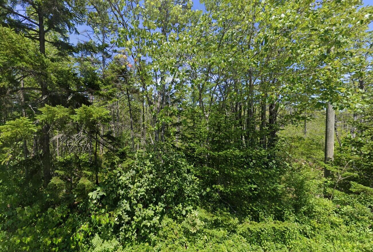 0 Flye Point Road Brooklin, ME 04616 - Photo 1 of 2 1257 street view