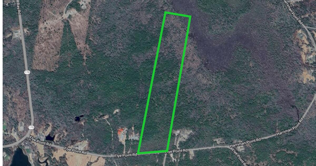 0 Flye Point Road Brooklin, ME 04616 - Photo 2 of 2 1257 Terrain