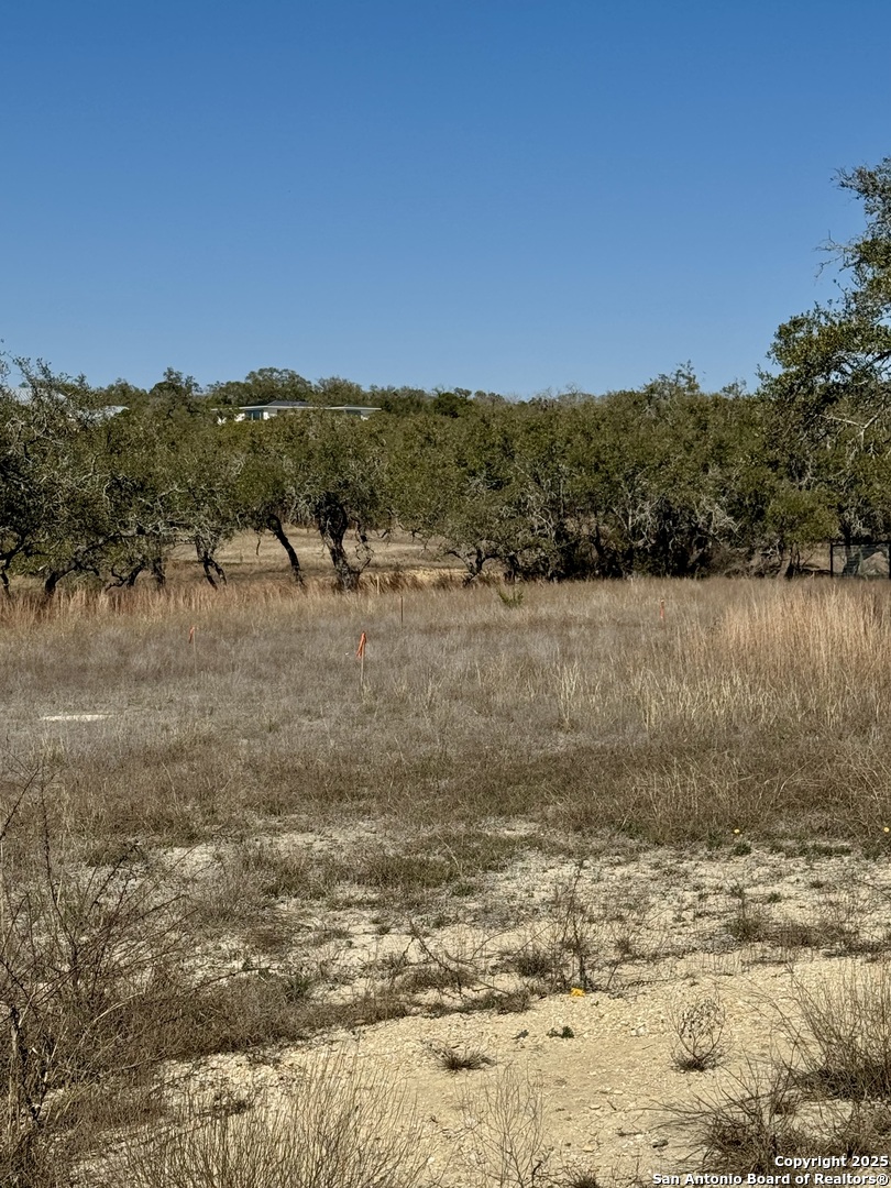 732 Sharp Spgs Road Bulverde, TX 78163 - Photo 2 of 17