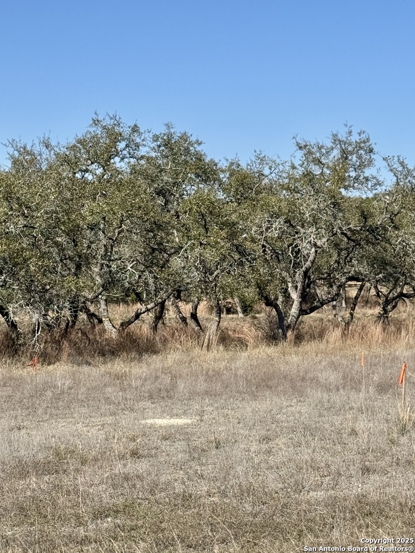 732 Sharp Spgs Road Bulverde, TX 78163 - Photo 5 of 17