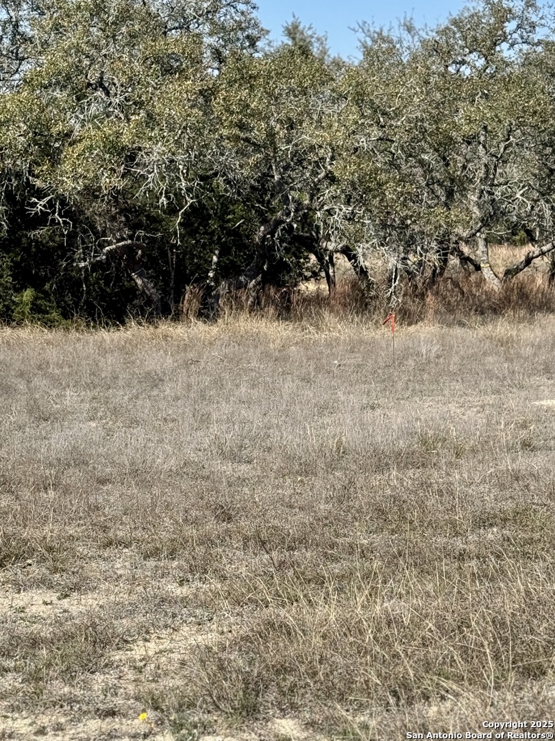 732 Sharp Spgs Road Bulverde, TX 78163 - Photo 9 of 17