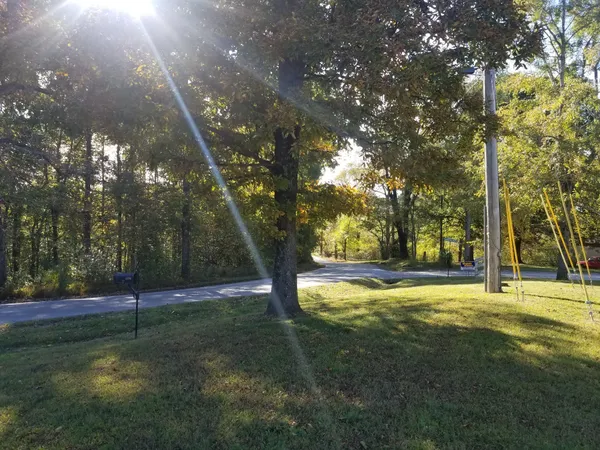 a view of yard with trees