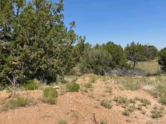 $145,000 | 8 Newlin Ridge Road, Florence, CO 81226