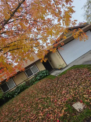 a view of a yard with wooden fence
