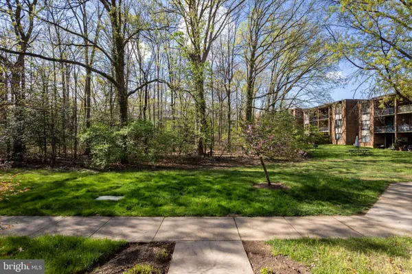 a garden with trees in front of it