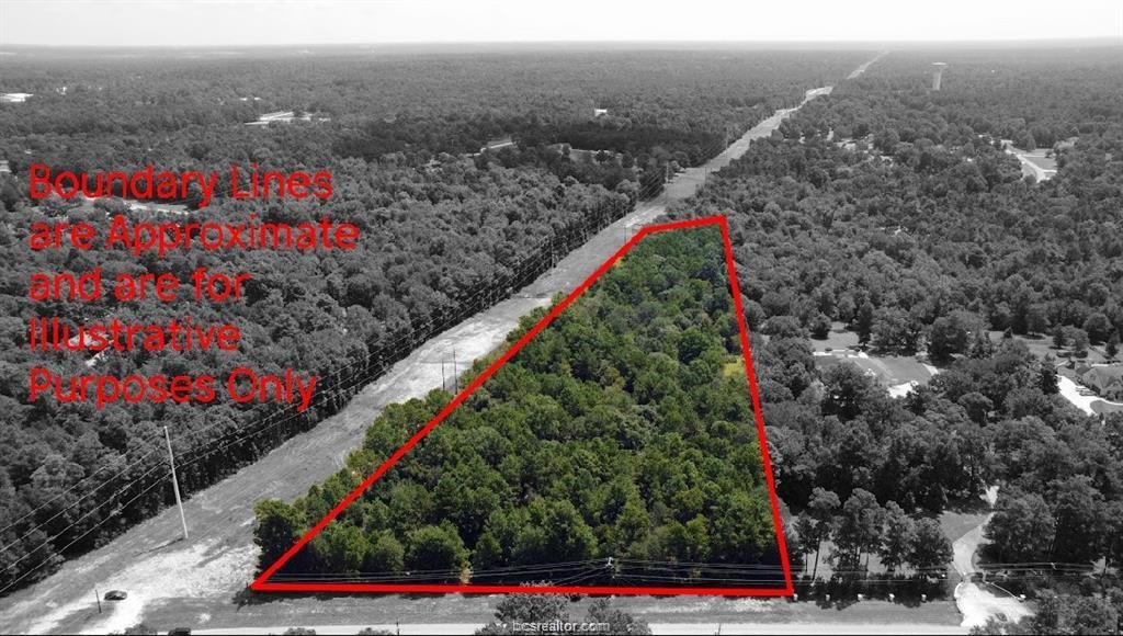 7800 Honea Egypt Road Montgomery, TX 77316 - Photo 3 of 8 a view of a city and flowers