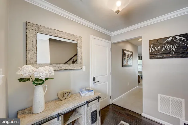 a view of bathroom with a potted plant on the counter and a sink